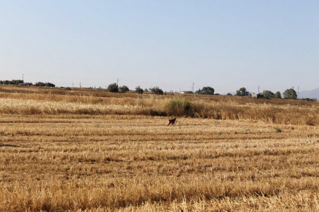 Αγωνες Α.Κ.Ι 11/6/2017